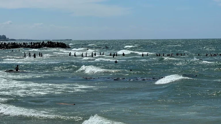 Israel-Hamas War: 12 Drown As Aid Crate Lands Off Gaza Beach