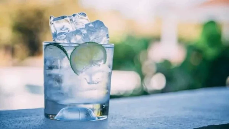 Top 5 Gin And Tonic Cocktails For A Boozy Summer Party