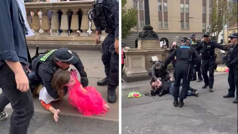 Video: Two arrested after protest outside Victoria parliament; police under fire for using pepper spray