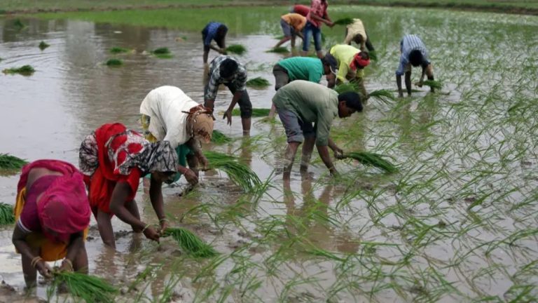 Final burden of farm loan waiver on farmers: NABARD Deputy MD