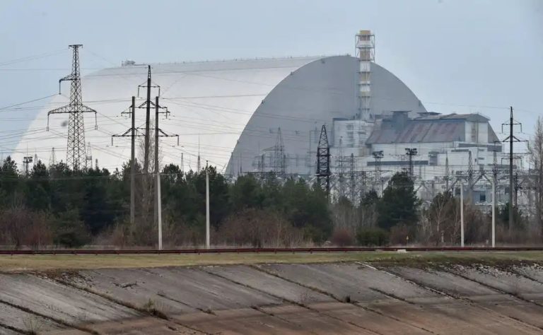 Worms living near Chernobyl nuclear plant have developed a ‘super power’