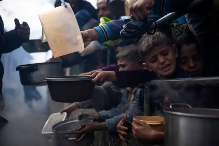 Toll from starvation in Gaza rises to 23