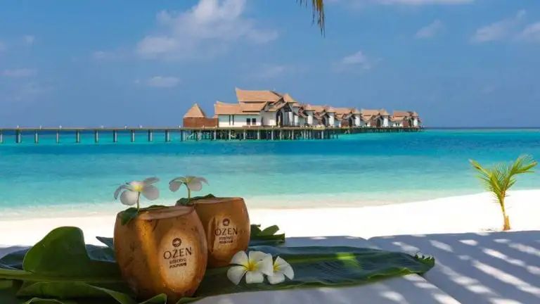 People in Maldives miss Indian tourists; are sorry and urge them to return amid diplomatic row