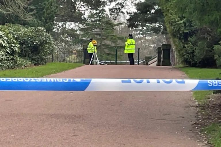 Hero bystander tried to save teenager stabbed to death in Wolverhampton park