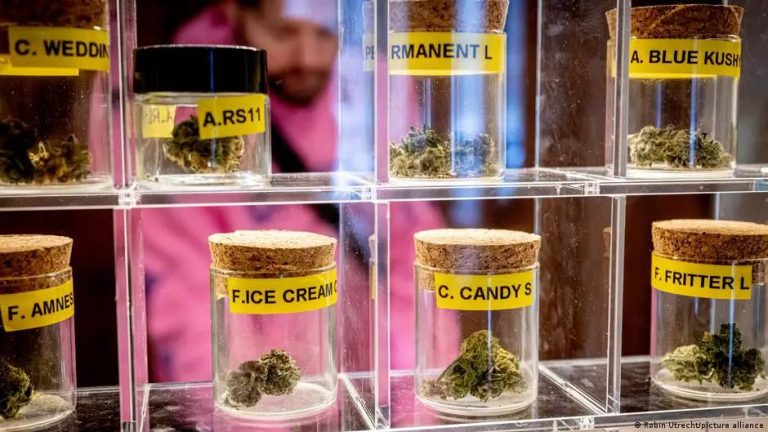 Who will profit from legal cannabis in Germany?