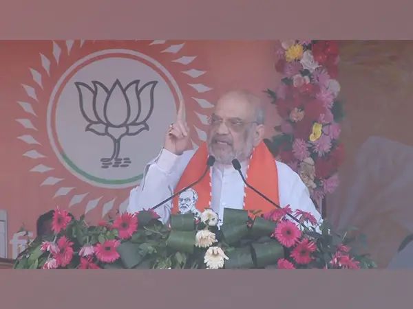 “Will straighten out land mafias in Bihar by hanging them upside down.”: Amit Shah