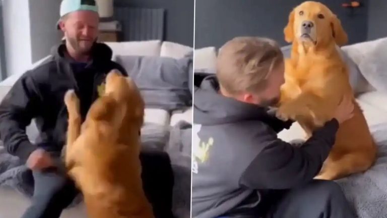 Adorable! Ben Duckett’s Pet Dog Max Welcomes England Batter With Cuddles As He Returns From A Long Tour of India, Video Goes Viral!