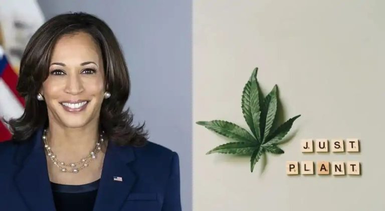 VP Harris Will Meet Rapper Fat Joe And Others Pardoned By Biden For Cannabis Convictions To Discuss Criminal Justice Reforms