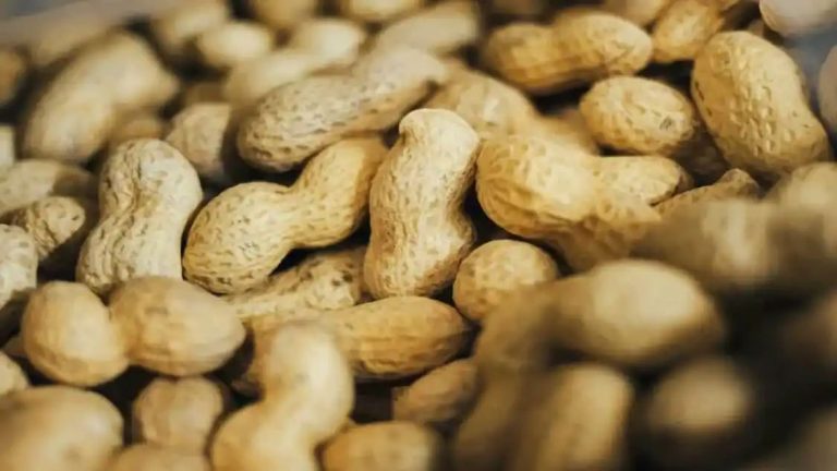 5 Reasons Why You Should Not Consume Peanuts In Excess