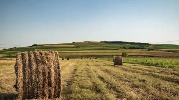 ITU and FAO partner for digital revolution in agriculture