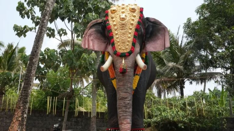 Priyamani Donates Life-size Mechanical Elephant To Kerala Temple In a Bid To Curb Animal Cruelty