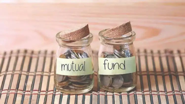 India’s Largest Small-Cap Mutual Fund Scheme Adjusts Investment Limits To Rs 50,000/Day; Details Inside