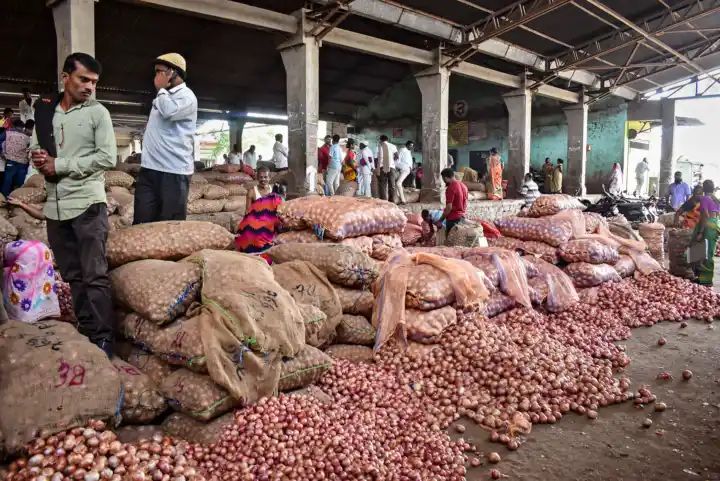 Govt to begin procurement of 5 lakh tonnes of rabi onion in 2-3 days to protect farmers’ interest