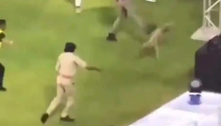 IPL 2024: Outrage over dog-kicking incident during GT vs MI ensues; animal activists demand action (WATCH)