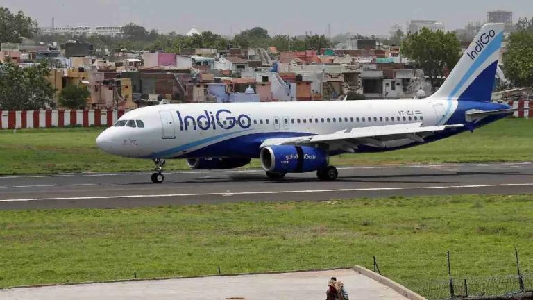 IndiGo airlines planning to double size by 2030 with eye on global market, says CEO Elbers