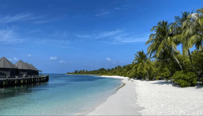 Maldives decided to organize road shows in major cities of India to attract tourists