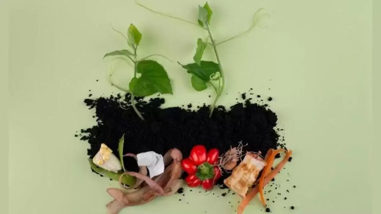 Make compost from peels of fruits and vegetables in this way, plants will be laden with fruits and flowers