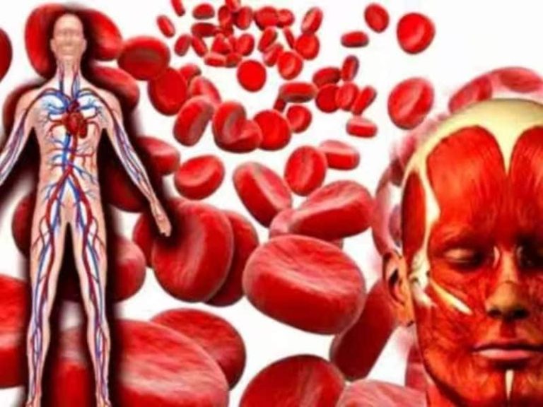 How to clean blood naturally?  Here are ten ways to kiss