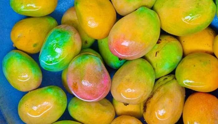 Mango should be soaked in water before eating!  do you know why?