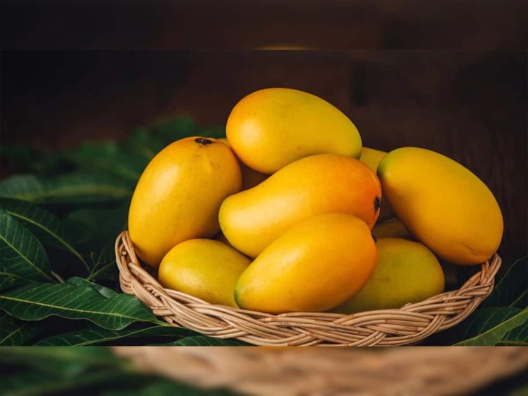 Mango in Diabetes: Should you eat mango if you have diabetes?  If you also have this question in your mind then know its correct answer