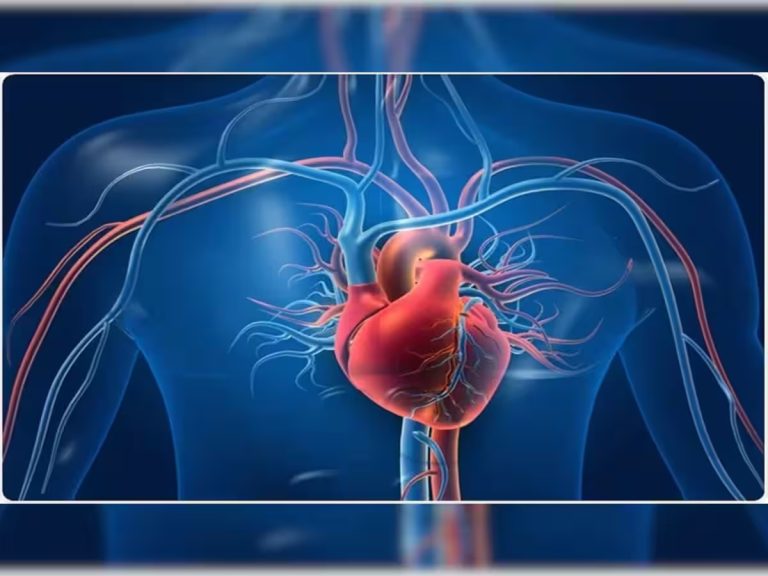 Heart Health: These 7 symptoms appear in the body when the largest artery of the heart is blocked, get treatment immediately