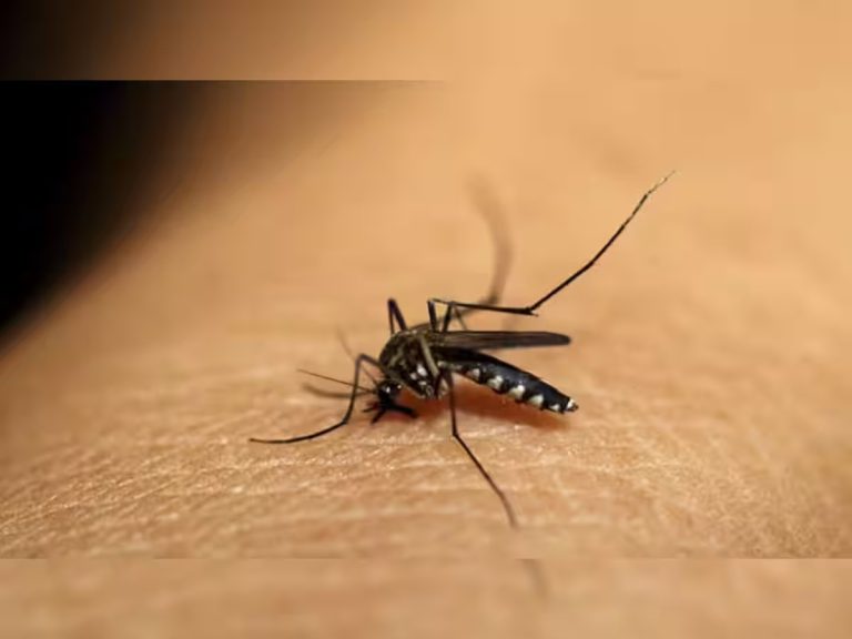 World Malaria Day: These 6 easy measures can protect you and your family from malaria