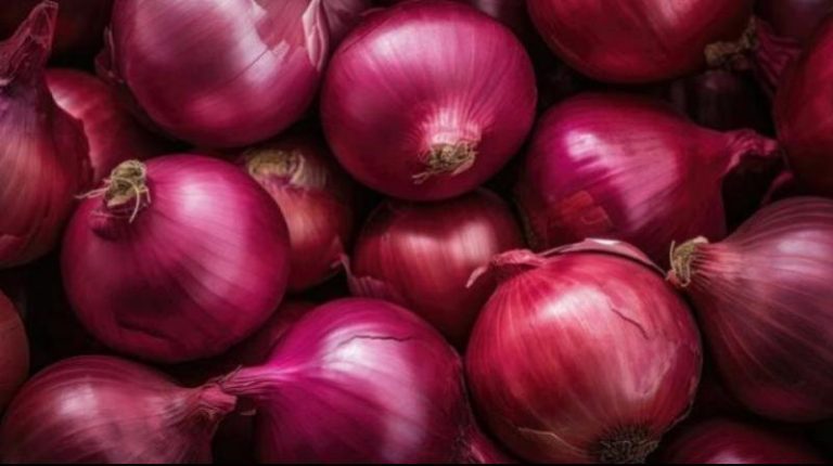 Center gives permission to export 99,150 tonnes of onion to six countries