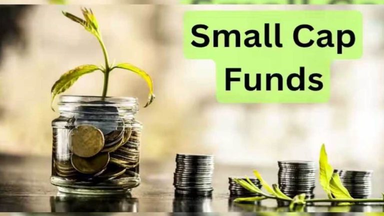 Due to excellent performance, small and midcap funds are the first choice of MF investors – ..