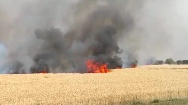 If crop gets destroyed by fire then get compensation like this