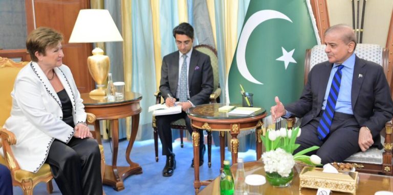 PM Shehbaz tells IMF chief about commitment to revive economy