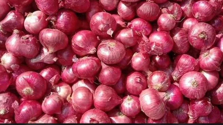 India approves onion export to UAE after Maldives