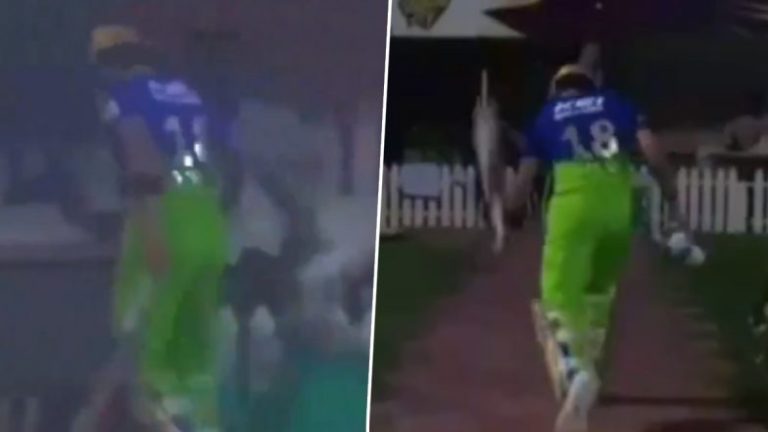 IPL 2024: Watch- Furious Virat Kohli Smashes Trash Can In Anger, Slams His Bat On The Ground After Controversial Dismissal