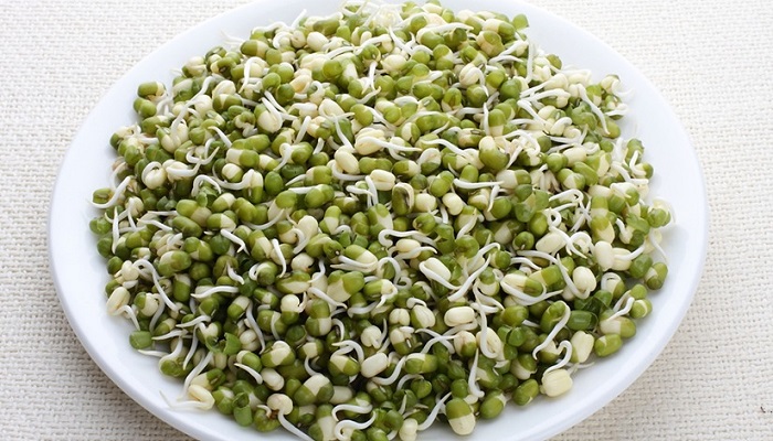 Eat just one bowl of sprouted moong dal in the morning, you will get tremendous health benefits