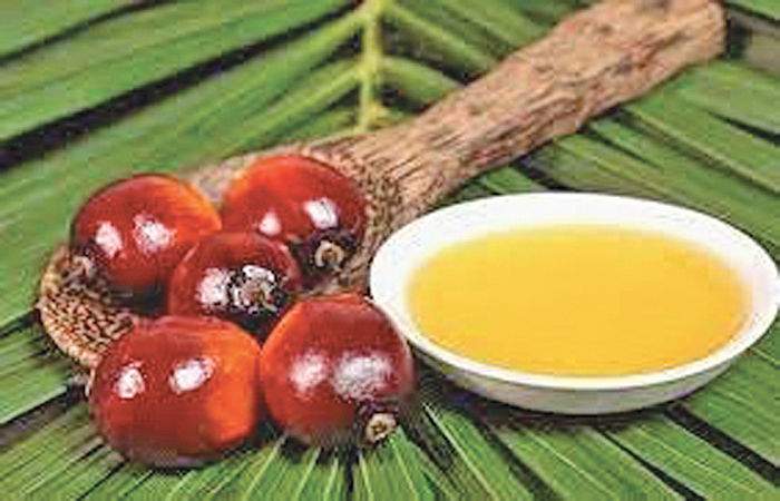 Palm oil imports at 10-month low after high prices