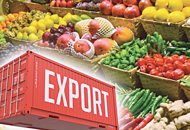 Agricultural exports remain low in FY 2024 due to decline in rice shipments