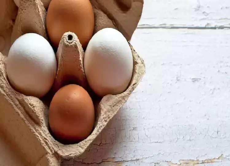 If you also see these symptoms in your body, then start eating eggs from today itself!