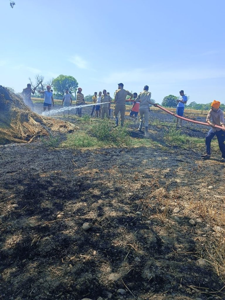 A sudden fire broke out in the wheat field, the crop was destroyed by burning