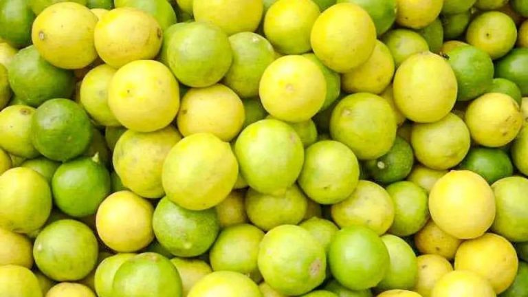 The price of lemon, which was available at Rs 40 per kg, reached Rs 200. Traders increased the prices as the demand increased compared to the income.