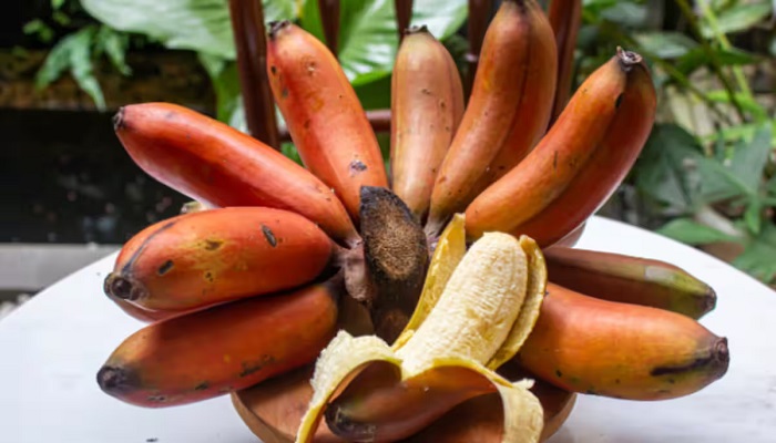 Red banana reduces the risk of many diseases, know its benefits