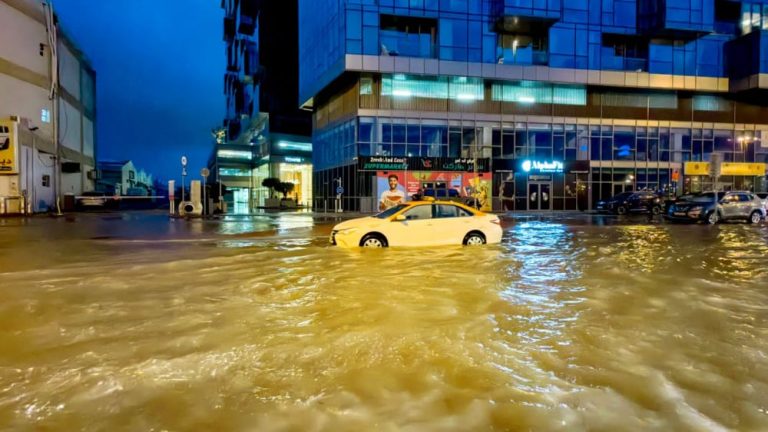 Dubai Flood News: Know how much it will cost to recover from floods?