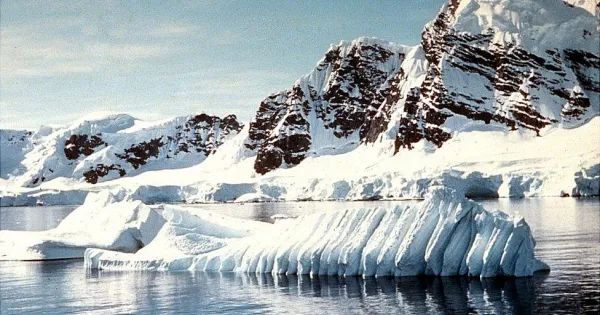 An iceberg four times bigger than Delhi broke off in Antarctica