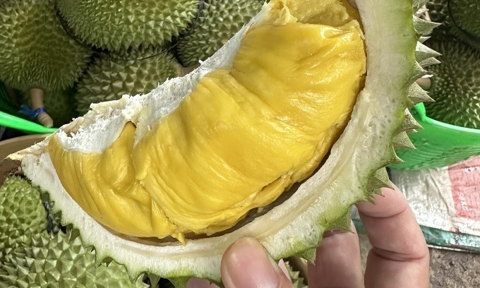 Thailand becomes Vietnam’s second largest durian importer