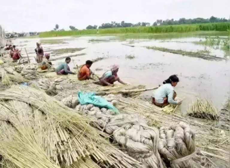 Purnia News: Bihar Farmers Farm, Bengal Fixes Crop Prices