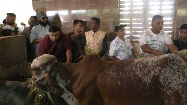 Taarak Mehta’s team visits a cow shelter in Bordi Samdhiyala village of Rajkot