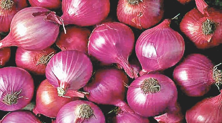 Export ban on onion lifted – ..