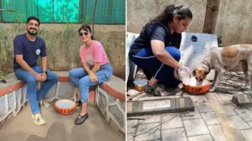 Jacqueline Fernandez’s YOLO Foundation Along With NGO Provide 1,000 Water Bowls For Stray Animals In Mumbai – Read