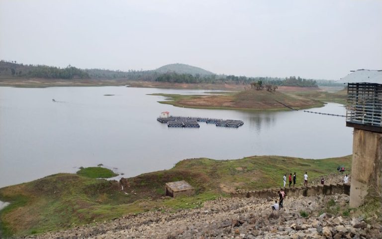 In Lohardaka, two boys drowned while bathing in a dam, and a cattle grazing accident occurred.