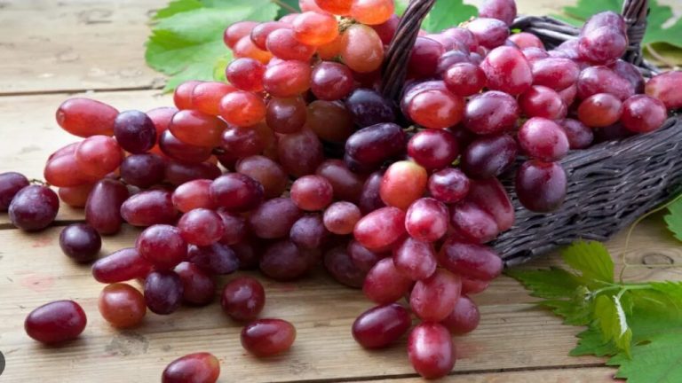 Red grapes are a boon for health, not green grapes, it takes care of kidney and heart: Red Grapes Benefits