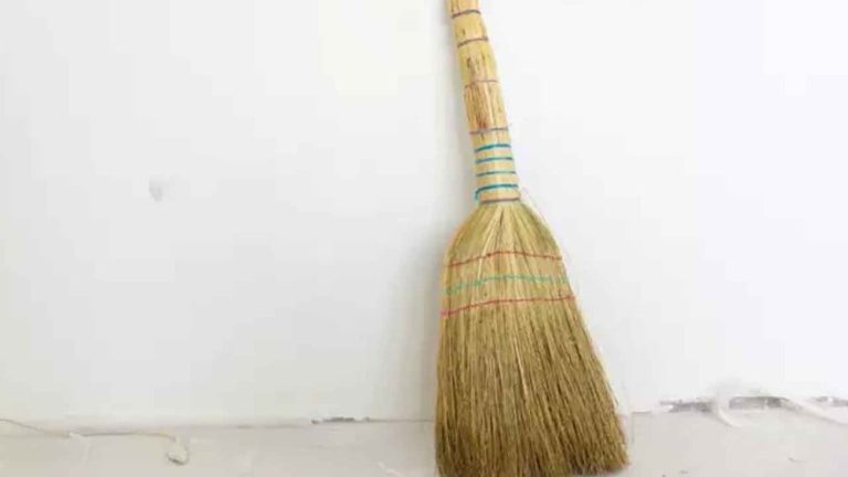 Vastu Tips: Do not buy a broom even after 2 days, it will lead to financial loss