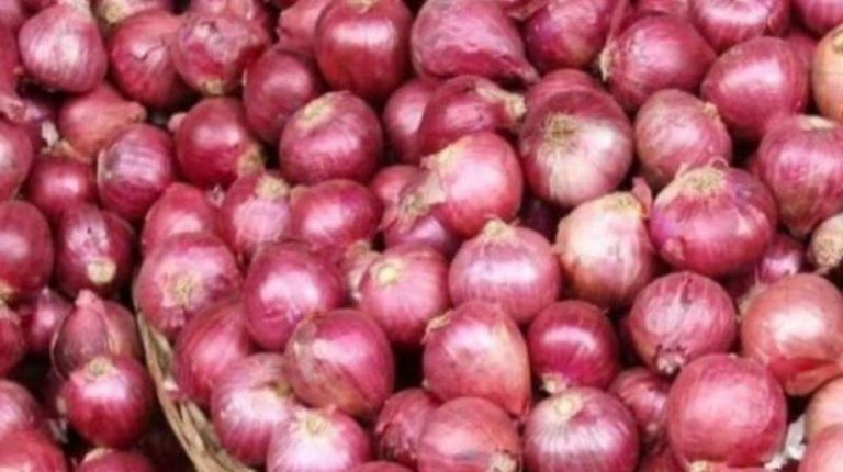 Big announcement by Government of India, 40 percent export duty imposed on onion